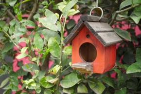 Colibrí B&B